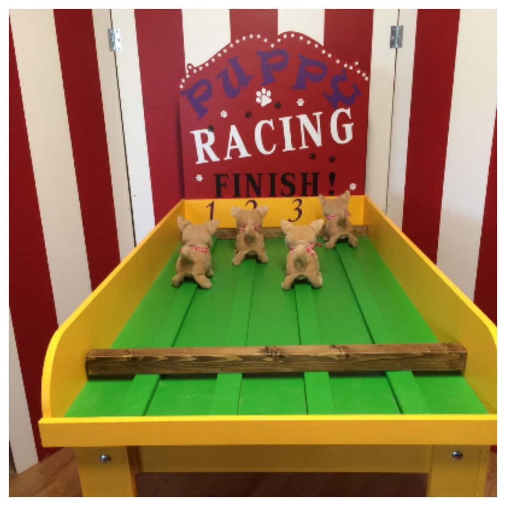 Pig racing carnival games